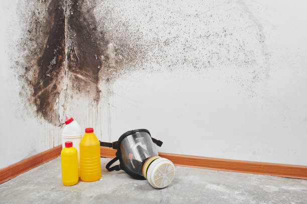 Best Mold Cleaning Services  in Marks, MS