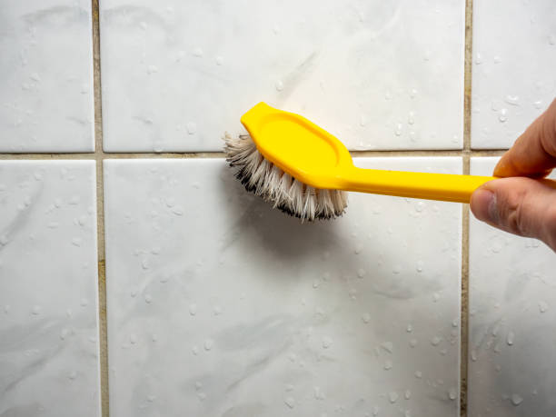 Best Mold Removal Near Me  in Marks, MS