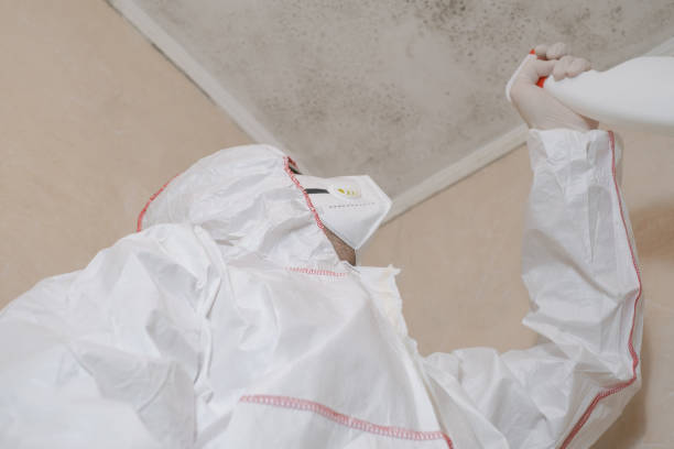 Crawl Space Mold Removal in Marks, MS