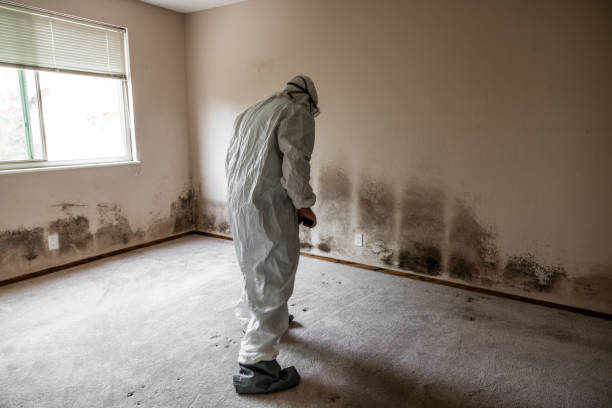 Marks, MS Mold Removal Company