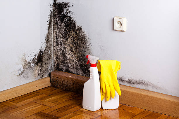 Best Crawl Space Mold Removal  in Marks, MS