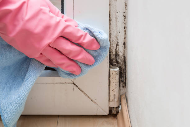 Best Crawl Space Mold Removal  in Marks, MS